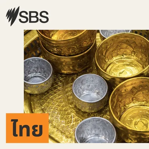 'Ambition gap': Why most people believe they'd step in to stop hate - but don't - SBS Examines: ทำไมคนถึงเลือกจะนิ่งเฉยต่อความรุนแรงในที่สาธารณะ?