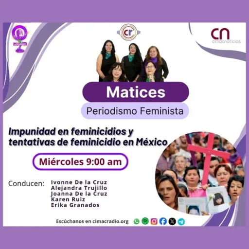 Matices: Impunidad en feminicidios y tentativas de feminicidio en México