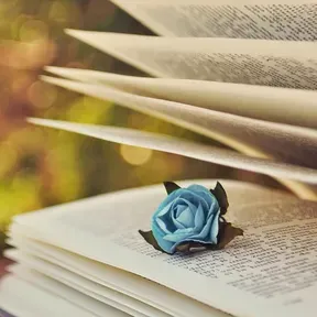 Viaje literario