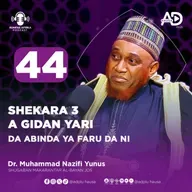44 | SHEKARA 3 A GIDAN YARI DA ABINDA YA FARU DA NI | DR. MUHAMMAD NAZIF YUNUS | RUMFAR AFRICA PODCAST HAUSA