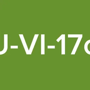 LU-VI-17oo