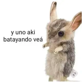 Reales.oo