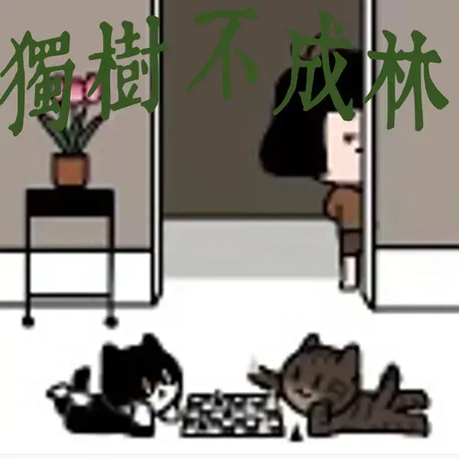 295-美国退群之后西方联盟的其他国家要咋办？