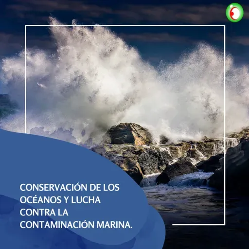 Conservación de los Océanos y lucha contra la contaminación marina.
