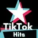 TikTok - Hits