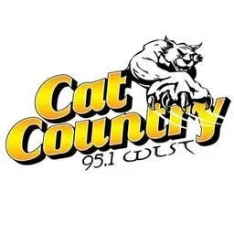 WLST Cat Country 95.1 FM