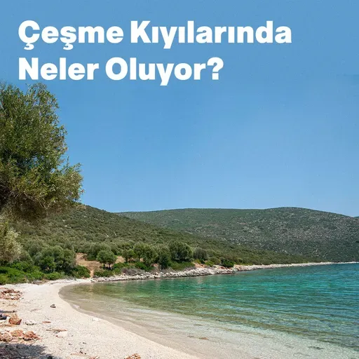 Çeşme Kıyılarında Neler Oluyor?