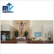 Santa Misa del viernes 7/11/2025, Iglesia de María Virgen Madre