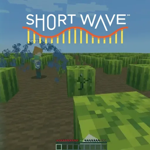 What Can Minecraft Teach Us About Learning?