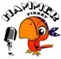 De HammerPiraat