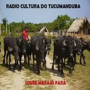 CULTURA DO TUCUMANDUBA SOURE PARÁ