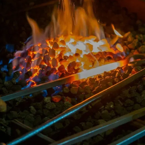 Irons in the Fire