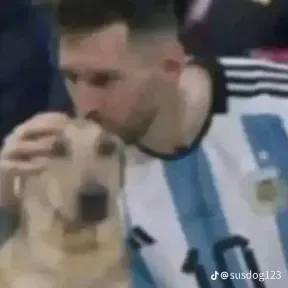 Messicabra