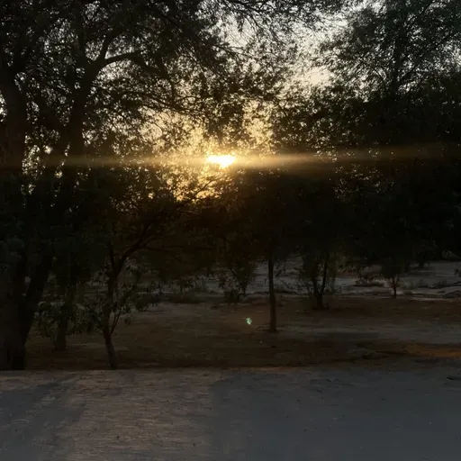 ١٨٢| واجهي مشاكلك بنعومة