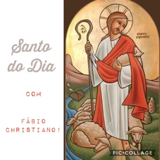 XXII Domingo do Tempo Comum
