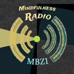 Mindful Beacon MBZ1- Meditation Radio