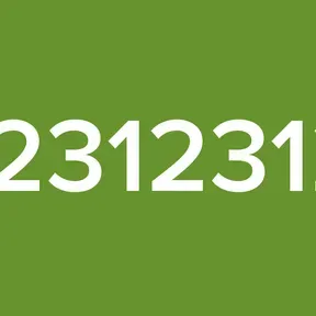12312312