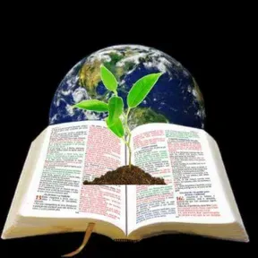 radiosementededeusnaterra