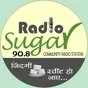 RIT Radio Sugar