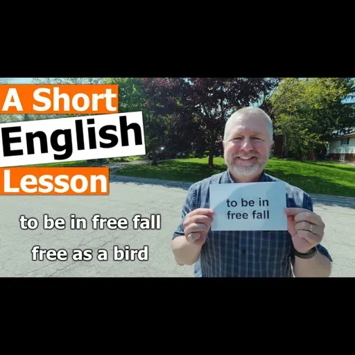 Learn the English Phrases "to be in free fall" and "free as a bird"