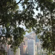 Árvores fazem a diferença