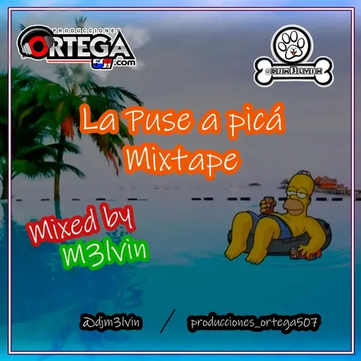 La Puse a Picá_Mixtape-Dj m3lvin