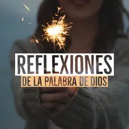 Reflexiones