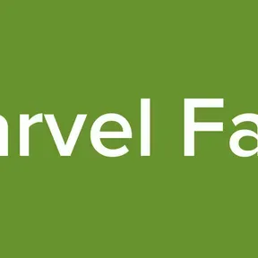 Marvel Fans