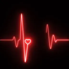 Rádiojogo