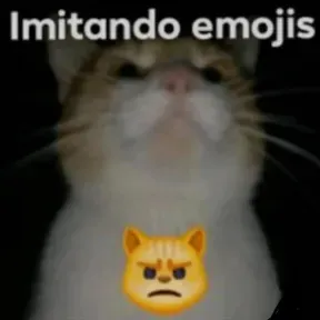 Sam_rogrid