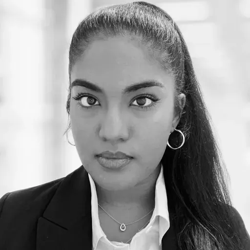 The Legal Analyst In Google's Corner