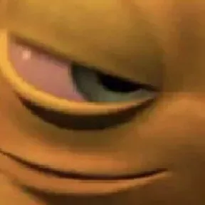 LINK SOLTO