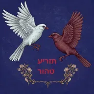 TAZRIA - TAHOR