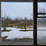 Свежеют с каждым днём и молодеют сосны... Иван Бунин