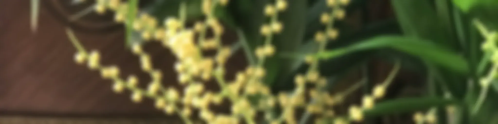 رنگین‌کمان قصه