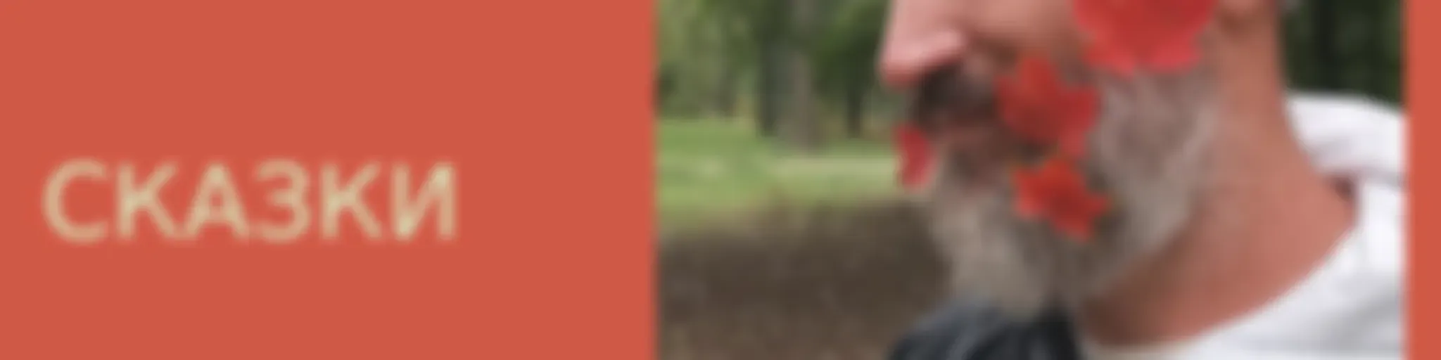 Сказки каждый день