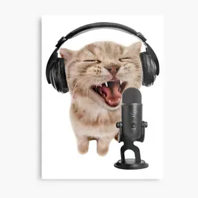 CBI RADIO.FM