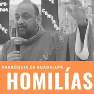 XVI Tiempo Ordinario