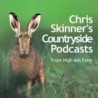 Episode 2.72 - Stoat Kittens and Soaking Rain