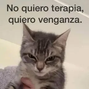 SilvaLinks
