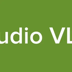 Studio VLM