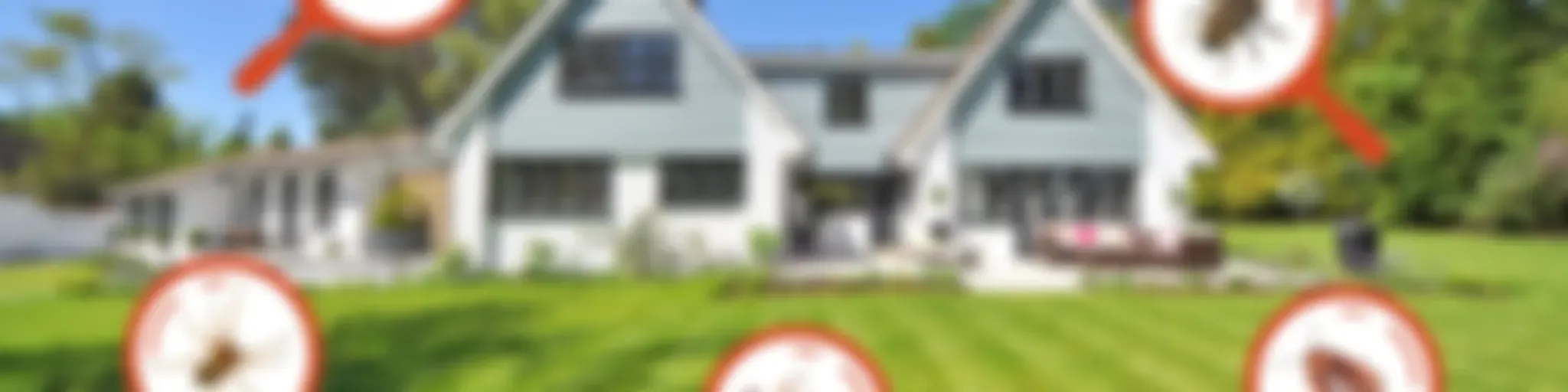 Pest Control Services in Lakewood, CA