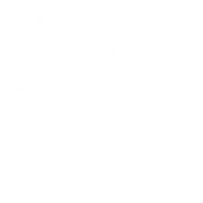 Rudiger Radio