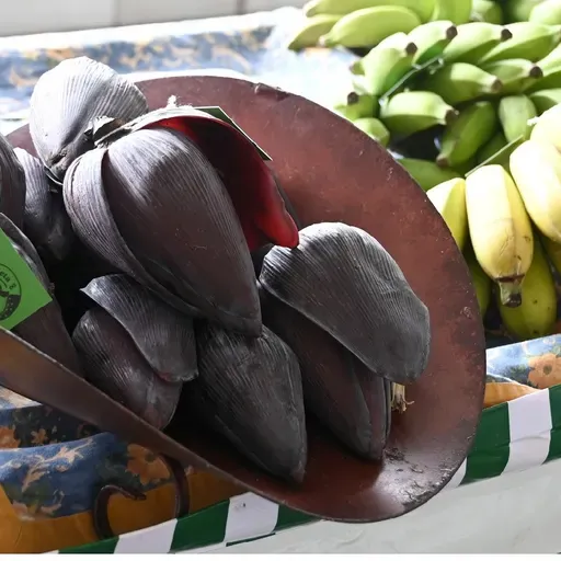 É quinta-feira: mais uma edição da feira da agricultura familiar de 2026!