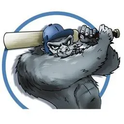 Guerilla Cricket