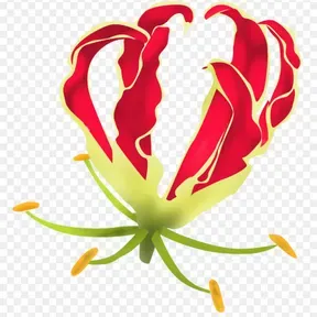 TamilFM