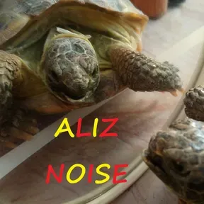 Aliz Noise