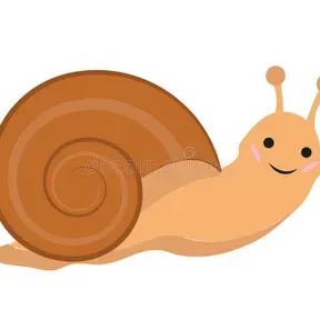 99.2 snail FM
