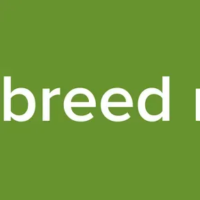 new breed radio