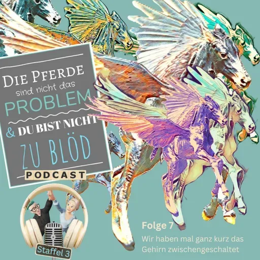 Wir haben mal ganz kurz das Gehirn zwischengeschaltet